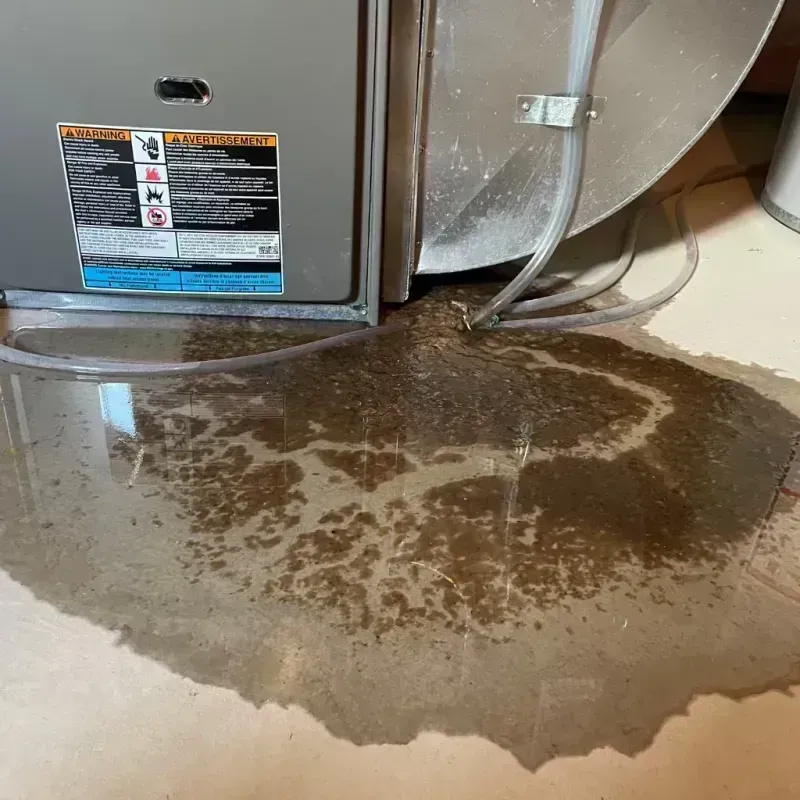 Appliance Leak Cleanup in Girard, KS